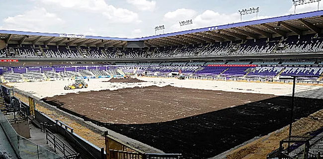 Pelouse d'Anderlecht: 