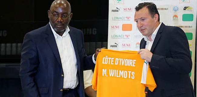 Wilmots giflé par les hommes d'Advocaat pour sa première